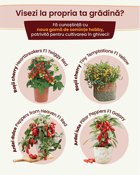 4 legume ghiveci
